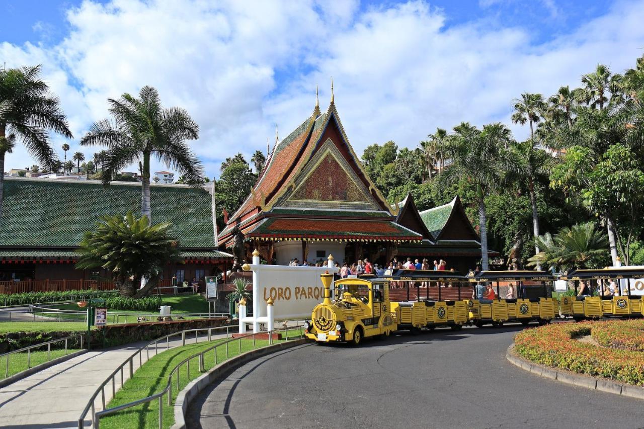 Jardines Del Teide Daire Puerto de la Cruz  Dış mekan fotoğraf